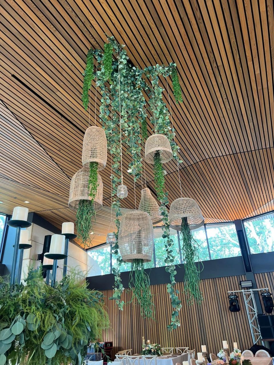 Trailing greenery and woven pendant lanterns suspended from a slatted timber ceiling